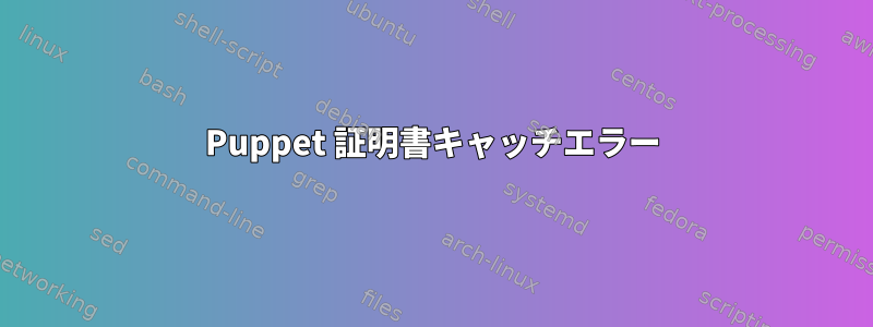 Puppet 証明書キャッチエラー