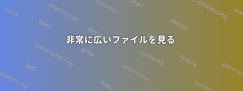 非常に広いファイルを見る