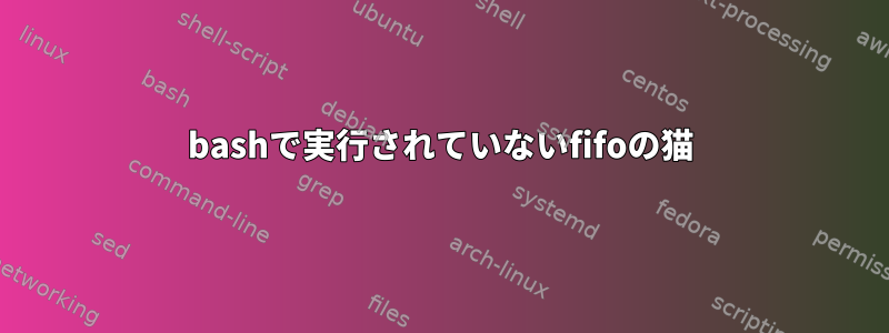 bashで実行されていないfifoの猫