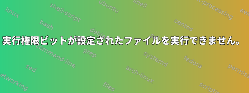 実行権限ビットが設定されたファイルを実行できません。