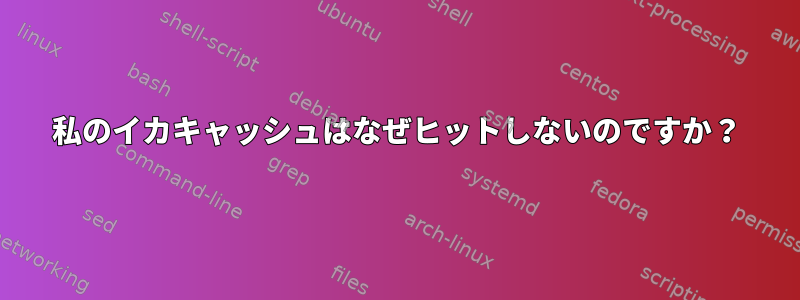 私のイカキャッシュはなぜヒットしないのですか？