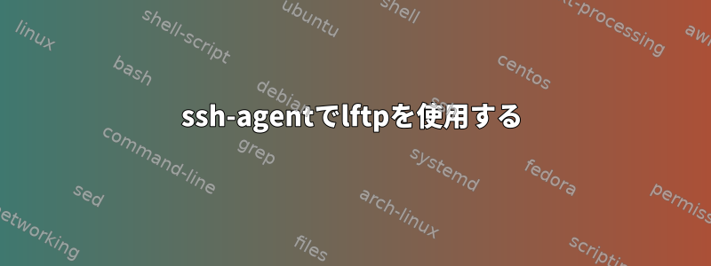 ssh-agentでlftpを使用する