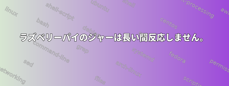 ラズベリーパイのジャーは長い間反応しません。