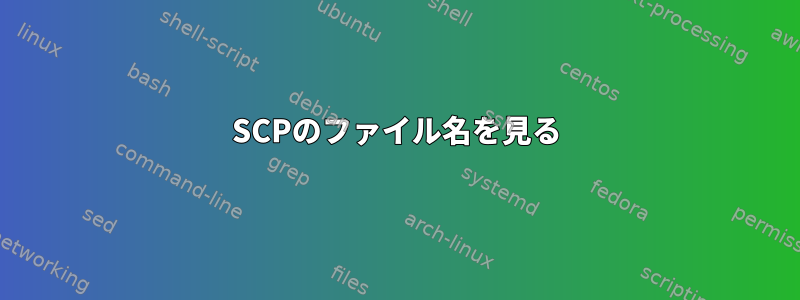 SCPのファイル名を見る