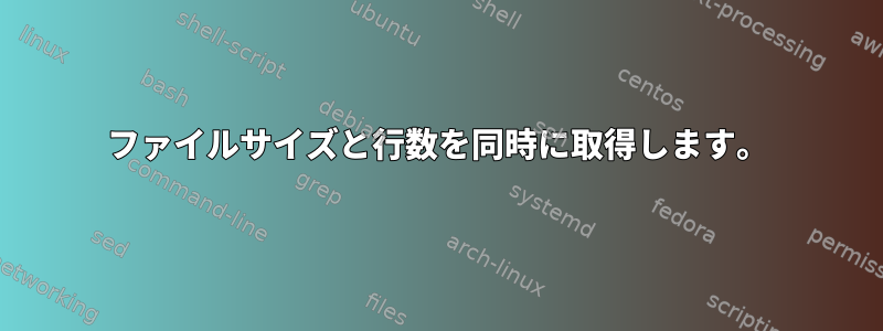 ファイルサイズと行数を同時に取得します。