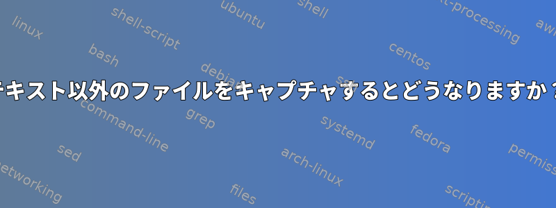 テキスト以外のファイルをキャプチャするとどうなりますか？