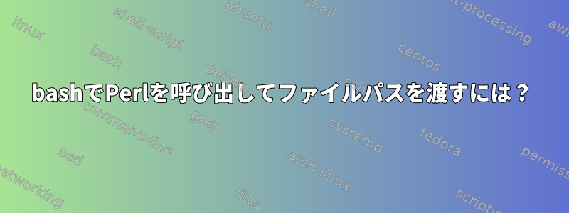 bashでPerlを呼び出してファイルパスを渡すには？