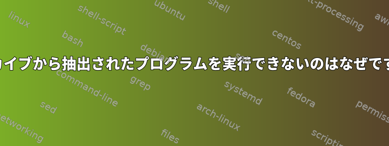 アーカイブから抽出されたプログラムを実行できないのはなぜですか？