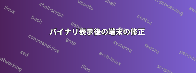 バイナリ表示後の端末の修正