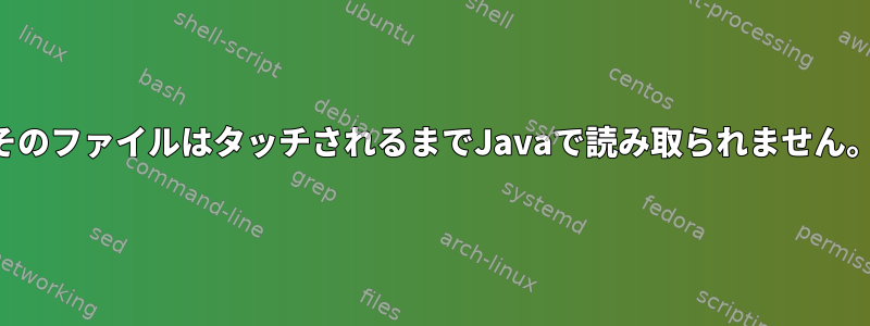 そのファイルはタッチされるまでJavaで読み取られません。