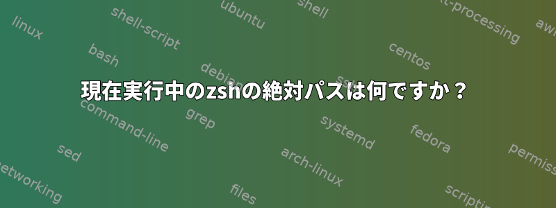 現在実行中のzshの絶対パスは何ですか？