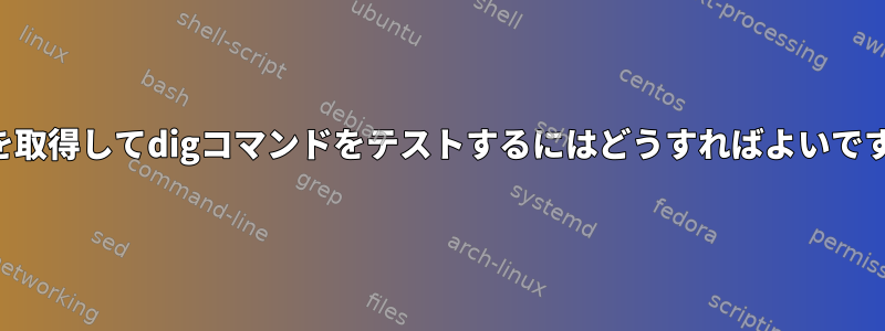 出力を取得してdigコマンドをテストするにはどうすればよいですか？