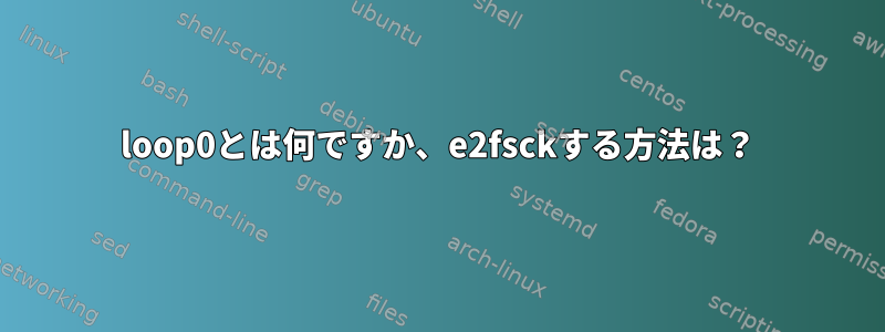 loop0とは何ですか、e2fsckする方法は？