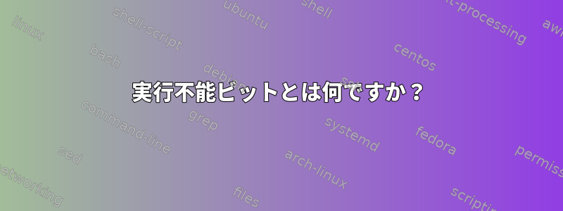 実行不能ビットとは何ですか？