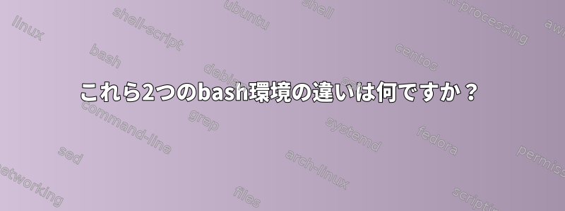 これら2つのbash環境の違いは何ですか？