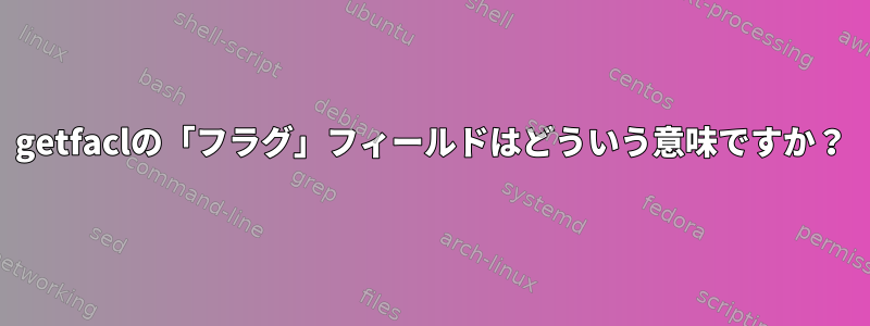 getfaclの「フラグ」フィールドはどういう意味ですか？