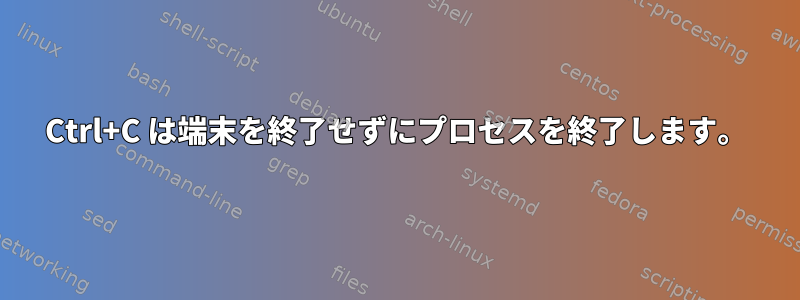 Ctrl+C は端末を終了せずにプロセスを終了します。