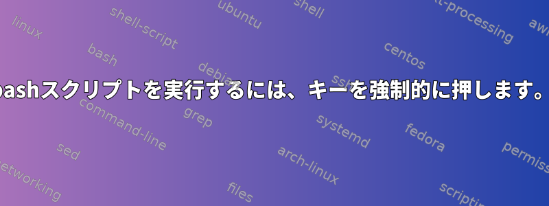 bashスクリプトを実行するには、キーを強制的に押します。