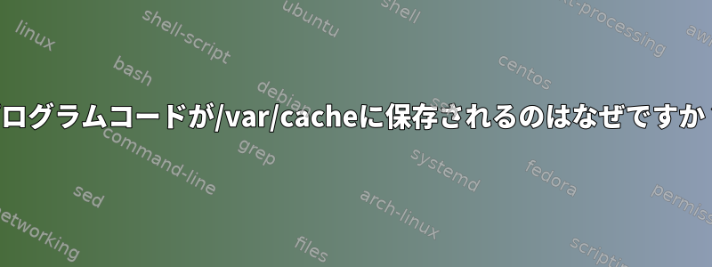 プログラムコードが/var/cacheに保存されるのはなぜですか？