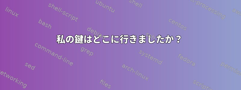 私の鍵はどこに行きましたか？