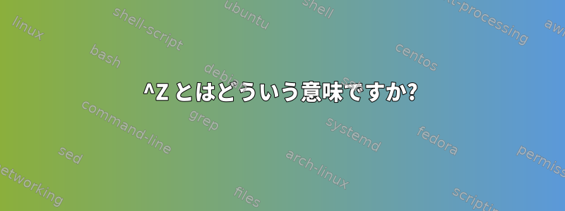 ^Z とはどういう意味ですか?