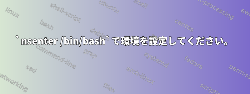 `nsenter /bin/bash`で環境を設定してください。