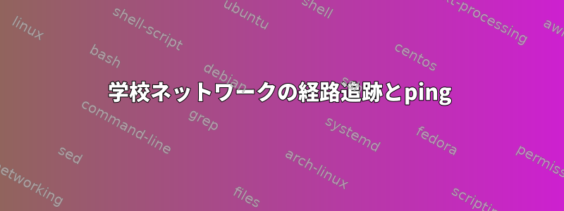 学校ネットワークの経路追跡とping