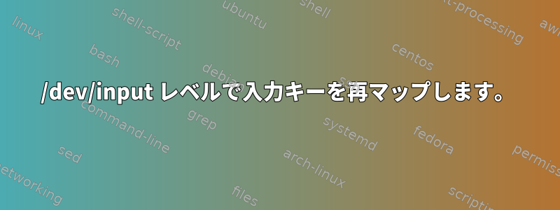 /dev/input レベルで入力キーを再マップします。