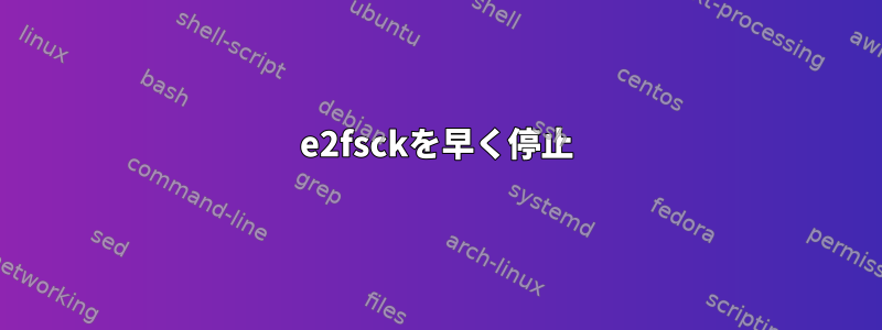 e2fsckを早く停止