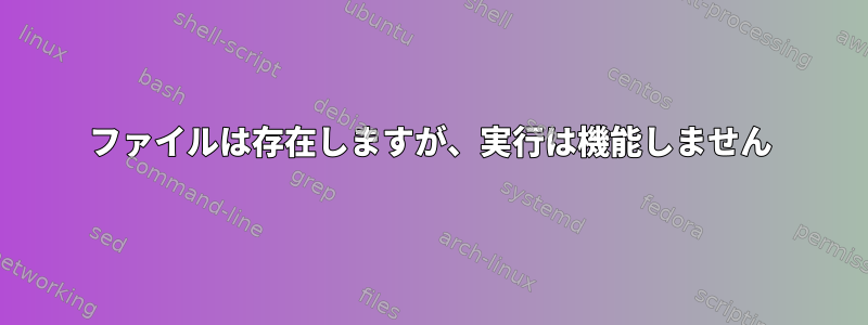 ファイルは存在しますが、実行は機能しません