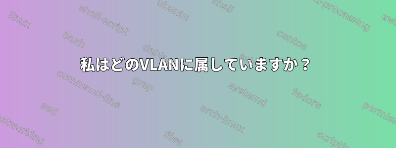 私はどのVLANに属していますか？