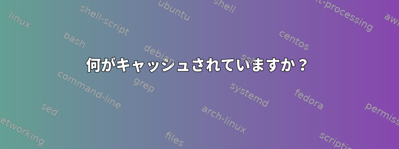 何がキャッシュされていますか？