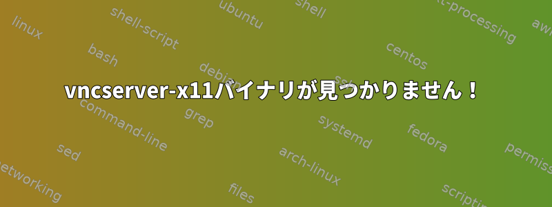 vncserver-x11バイナリが見つかりません！