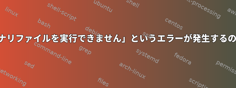 ソースで「バイナリファイルを実行できません」というエラーが発生するのはなぜですか？