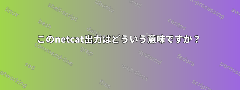 このnetcat出力はどういう意味ですか？