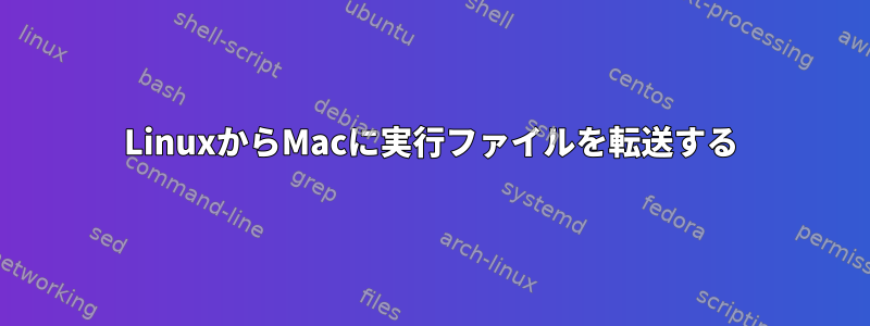 LinuxからMacに実行ファイルを転送する