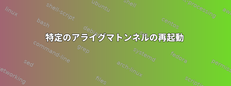 特定のアライグマトンネルの再起動