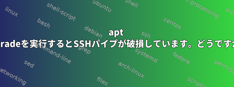 apt Upgradeを実行するとSSHパイプが破損しています。どうですか？