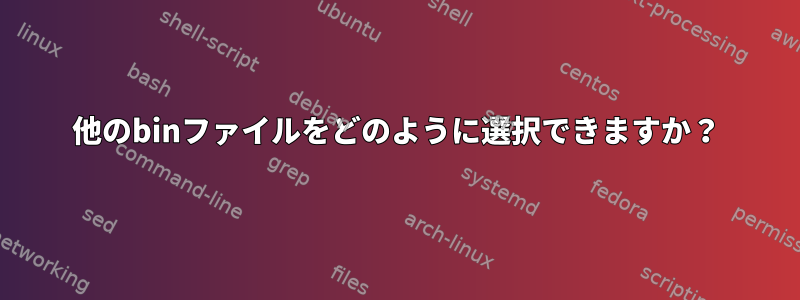 他のbinファイルをどのように選択できますか？