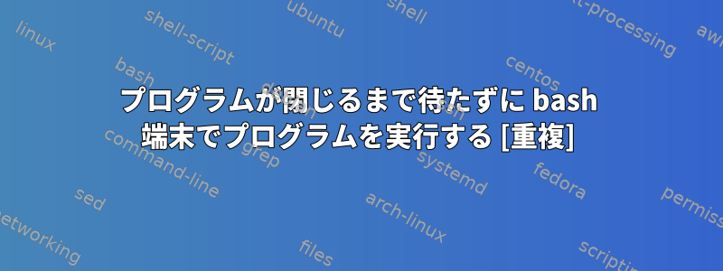 プログラムが閉じるまで待たずに bash 端末でプログラムを実行する [重複]