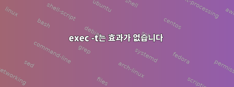 exec -t는 효과가 없습니다