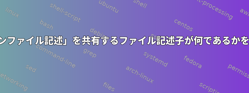 同じ「オープンファイル記述」を共有するファイル記述子が何であるかを確認します。