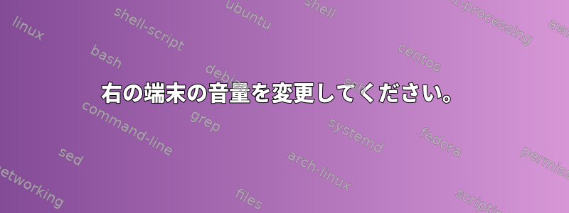 右の端末の音量を変更してください。