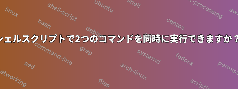 シェルスクリプトで2つのコマンドを同時に実行できますか？