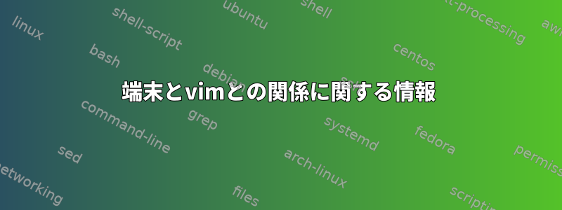 端末とvimとの関係に関する情報