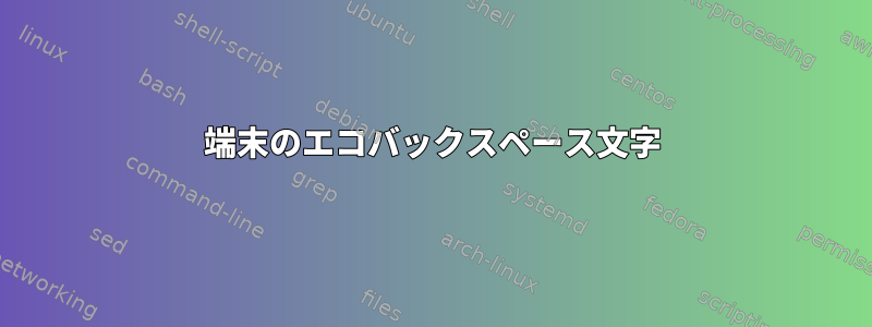 端末のエコバックスペース文字