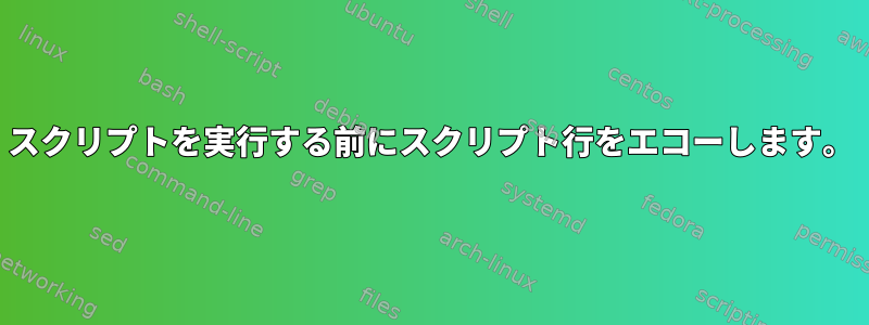 スクリプトを実行する前にスクリプト行をエコーし​​ます。