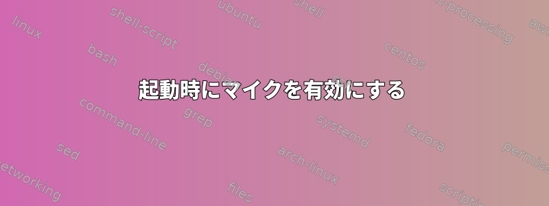 起動時にマイクを有効にする