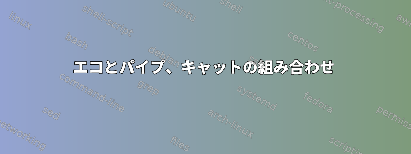 エコとパイプ、キャットの組み合わせ