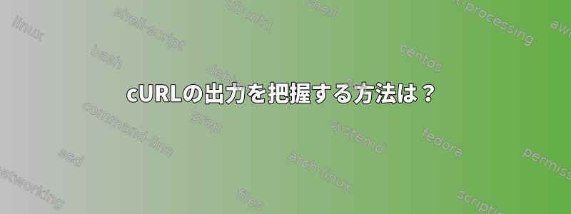 cURLの出力を把握する方法は？